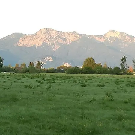 Moosblick Zwischen Bergen Und Apartmán Benediktbeuern