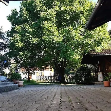 Moosblick Zwischen Bergen Und Apartmán *
