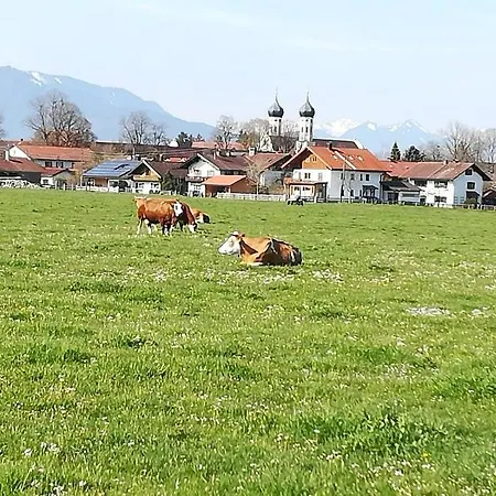 Moosblick Zwischen Bergen Und *