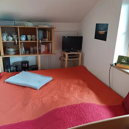 Moosblick Zwischen Bergen Und Lejlighed