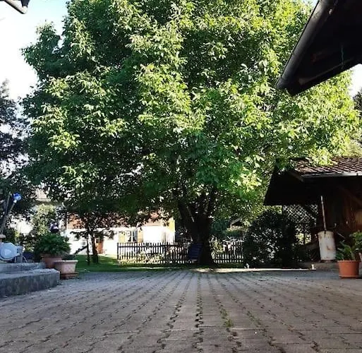Moosblick Zwischen Bergen Und Lejlighed *
