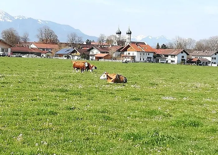 Moosblick Zwischen Bergen Und *