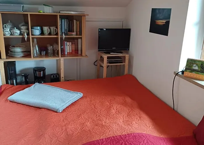Moosblick Zwischen Bergen Und Lejlighed