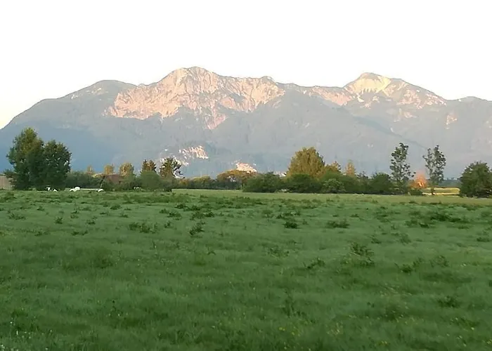 Moosblick Zwischen Bergen Und Apartment Benediktbeuern